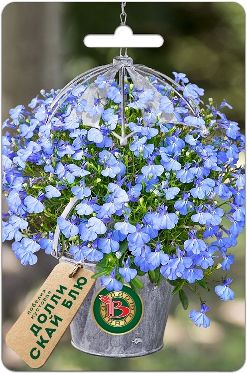 Лобелия Долли Скай Блю кустовая однолетник 10др (Биотехника)