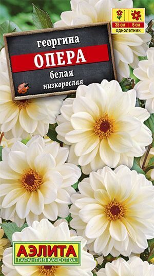 Георгина Опера белая однолетник 7шт (Аэлита)