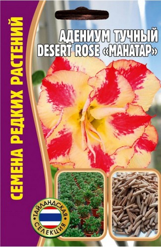 Адениум Mahatap Desert rose тучный 3шт (Ред.Сем)