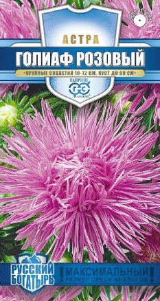 Астра Голиаф розовый Русский богатырь 0,3г (Гавриш)