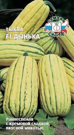Тыква Дынька F1 1г (Седек)