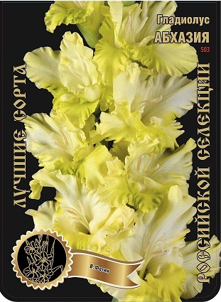Гладиолус Абхазия 503,Фотин Экстра 1шт (Ф)