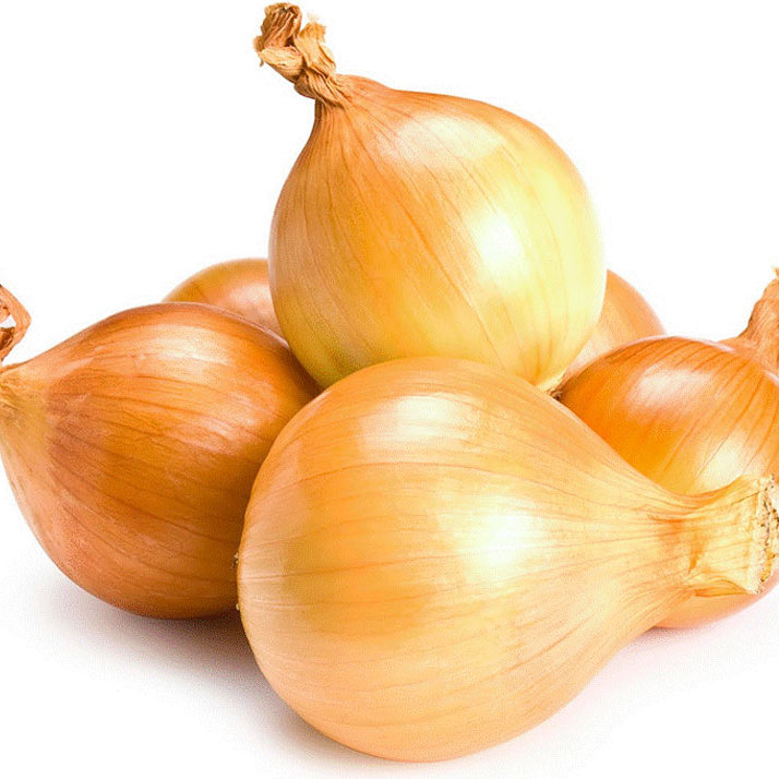 Лук севок Центурион 16/21 1 упаковка (Голландия)