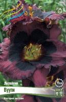 Лилейник Вуупи 1шт (Колорлайн)