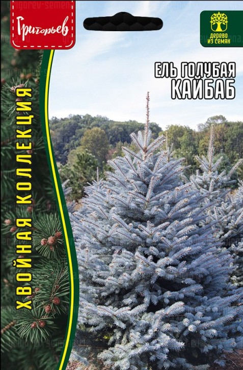 Ель Кайбаб Голубая 15шт (Ред.сем)