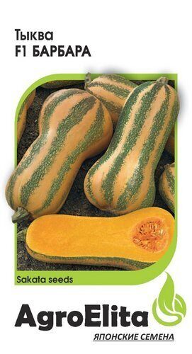 Тыква Барбара F1 мускатная 5шт (Агроэлита)