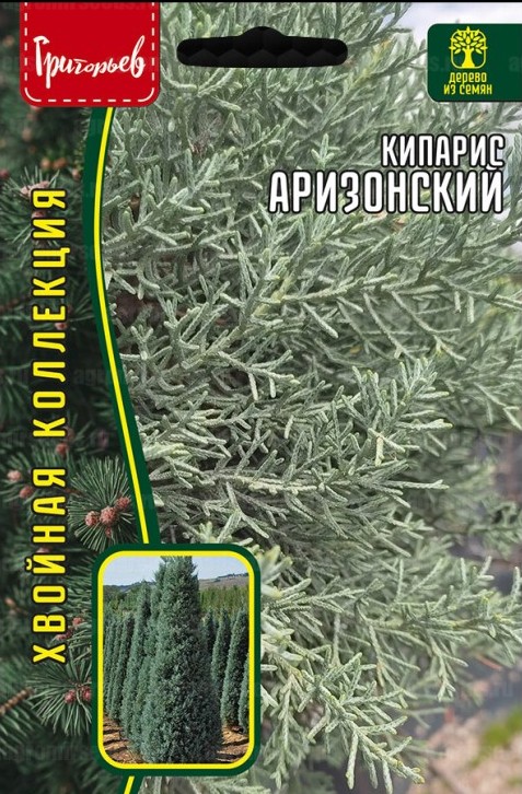 Кипарис Аризонский 0,1г (Ред.Сем)