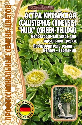 Астра Hulk green-yellow китайская однолетник 5шт (Ред.Сем)