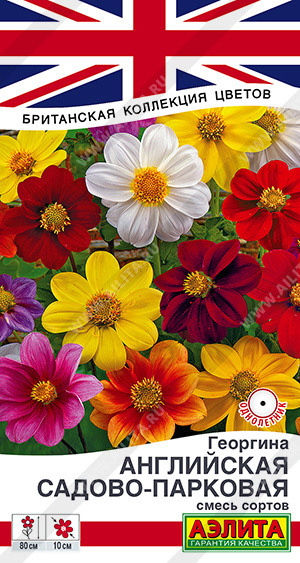 Георгина Английская Садово парковая смесь однолетник 0,3г (Аэлита)