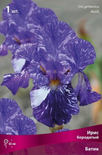 Ирис Батик (Германский) 1шт (Поиск)