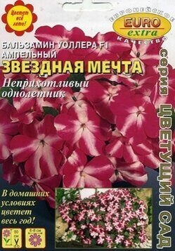Бальзамин Уоллера F1 Звездная мечта ампельный однолетник 5шт (АэлитаЭкстра)