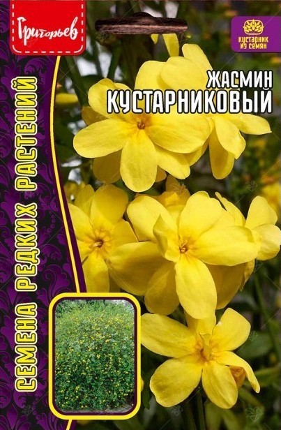 Жасмин Кустарниковый 5шт (Ред.Сем)