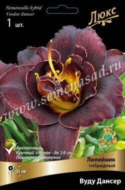 Лилейник Вуду Дансер 1шт (Поиск)