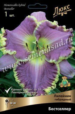 Лилейник Бестселлер 1шт (Поиск)