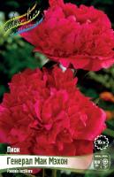 Пион Генерал Мак Мэхон 2/3 1шт (Колорлайн)