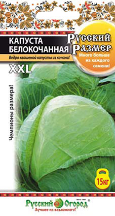 Капуста белокочанная XXL РУССКИЙ РАЗМЕР 50шт (НК)