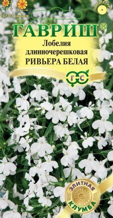 Лобелия Ривьера Белая длинночерешковая однолетник 4шт (Гавриш)