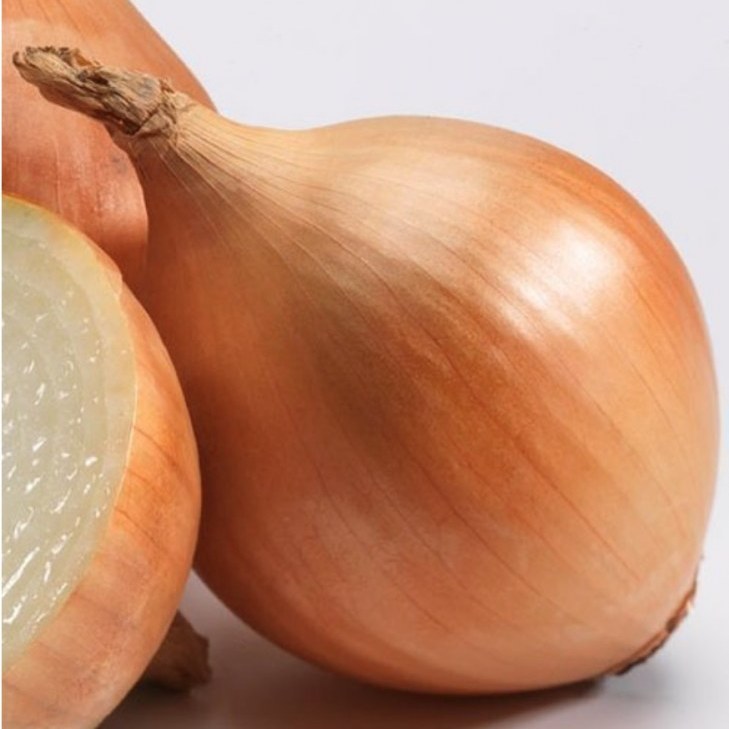 Лук севок Сибирский Золотистый (тип Ермак) 14/21 1упаковка  (Россия)