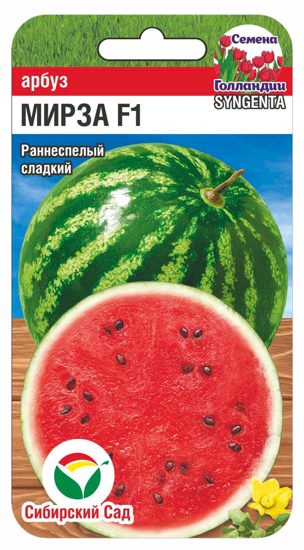 Арбуз Мирза 4шт (Сиб Сад)