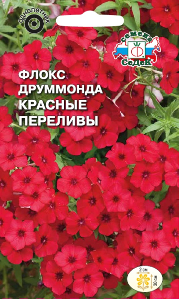 Флокс Друм Красные Переливы низкорослый однолетник 0,2г (Седек)