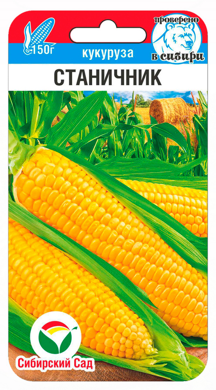 Кукуруза Станичник 6шт (Сиб Сад)