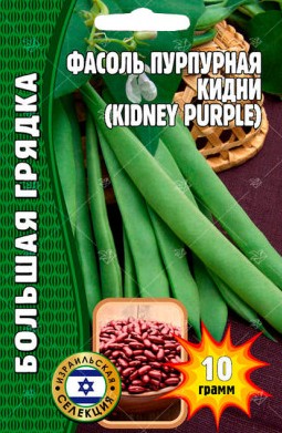 Фасоль Кидни пурпурная кустовая Большая грядка 10г (Ред.сем)