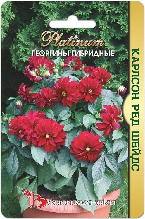 Георгина Карлсон Ред Шейдс 10шт (Биотехника)