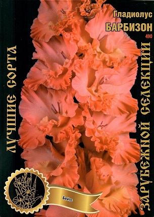 Гладиолус Барбизон 425,Бейтс Экстра 1шт (Ф)