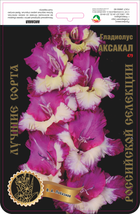Гладиолус Аксакал 477,Маркявичюс Экстра 1шт (Ф)