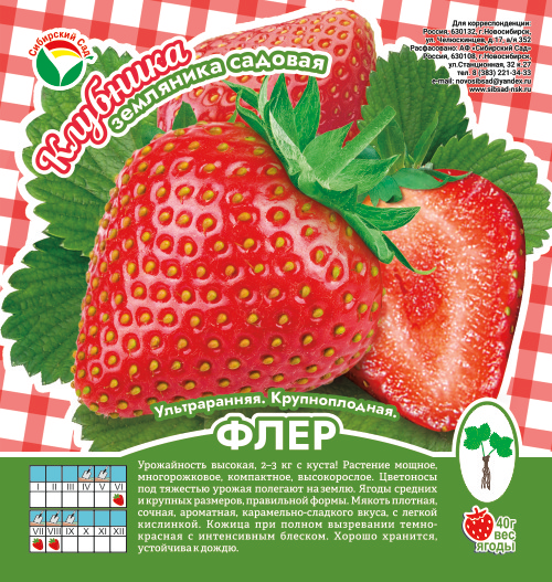 Клубника Флер А 10шт/пучок (Сиб сад)