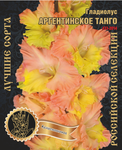 Гладиолус Аргентинское Танго 435,Каршенинников 1 р-р 1шт (Ф)