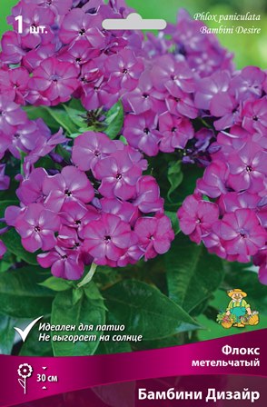 Флокс Бамбини Дизайр 1шт (Поиск)