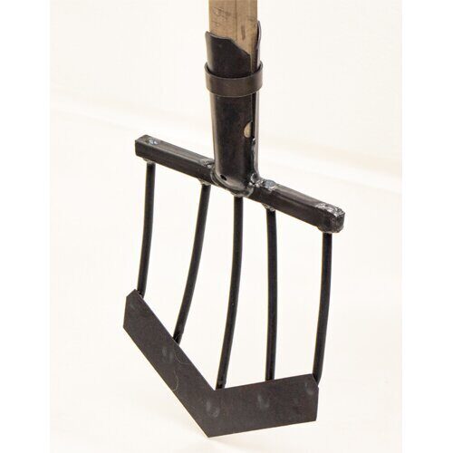 Лопата Солнышко (Азия)