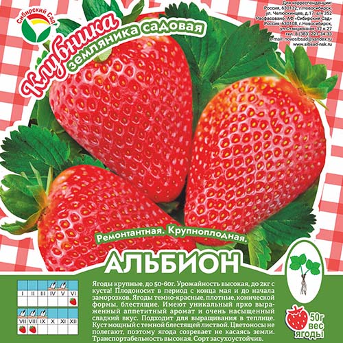 Клубника Альбион А 10шт/пучок (Сиб сад)