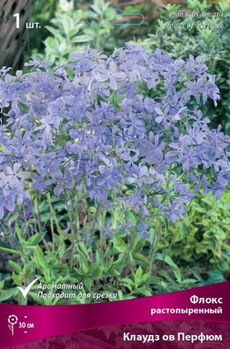 Флокс Клаудз ов Перфюм 1шт (Поиск)