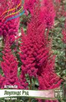 Астильба Лоулэндс Рэд 2/3 1шт (Колорлайн)