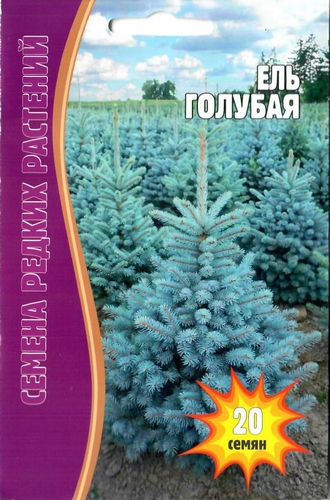 Ель Голубая 20шт (Ред.сем)