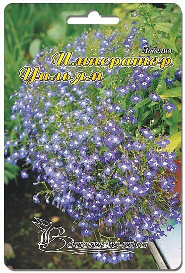 Лобелия Император Уильям однолетник 1000 шт (Биотехника)