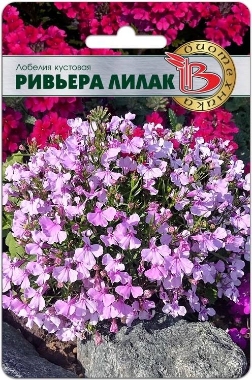 Лобелия Ривьера Лилак однолетник 10шт (Биотехника)