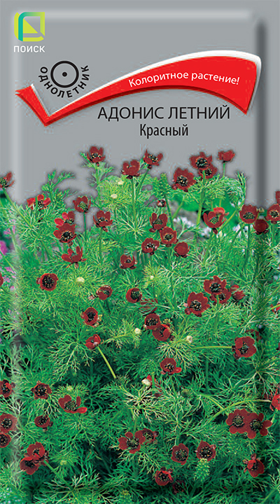Адонис летний Красный однолетник 0,3г (Поиск)