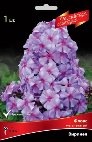 Флокс Виринея 1шт (Поиск)