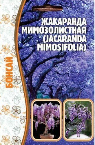 Жакаранда мимозолистная бонсай 5шт (Ред.сем)