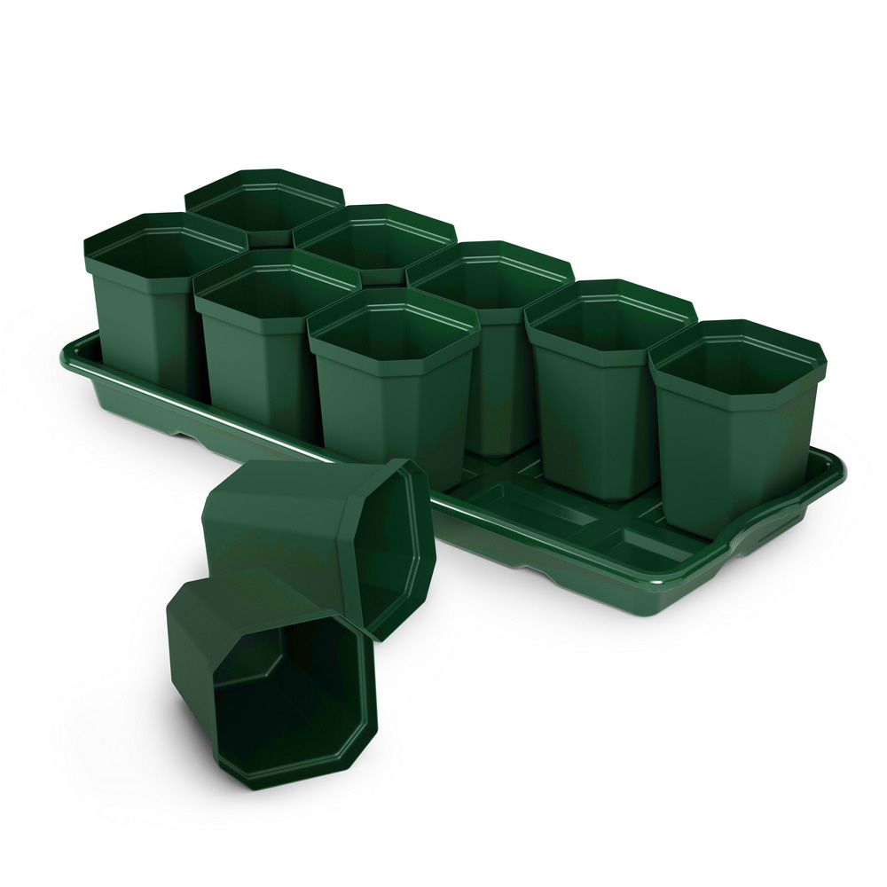 Рассадник 0,3л 10 стаканов+поддон 410*185*90мм М1010 (Альтерн)(10шт) 