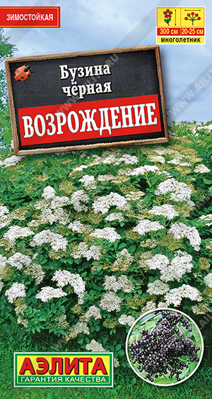 Бузина черная Возрождение 0,5г (Аэлита)