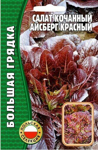 Салат Айсберг красный кочанный Большая грядка 1000шт (Ред.сем)