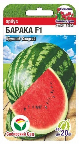 Арбуз Барака F1 3шт (Сиб Сад)