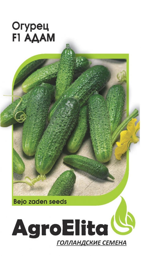Огурец Адам F1 5шт (Агроэлита)