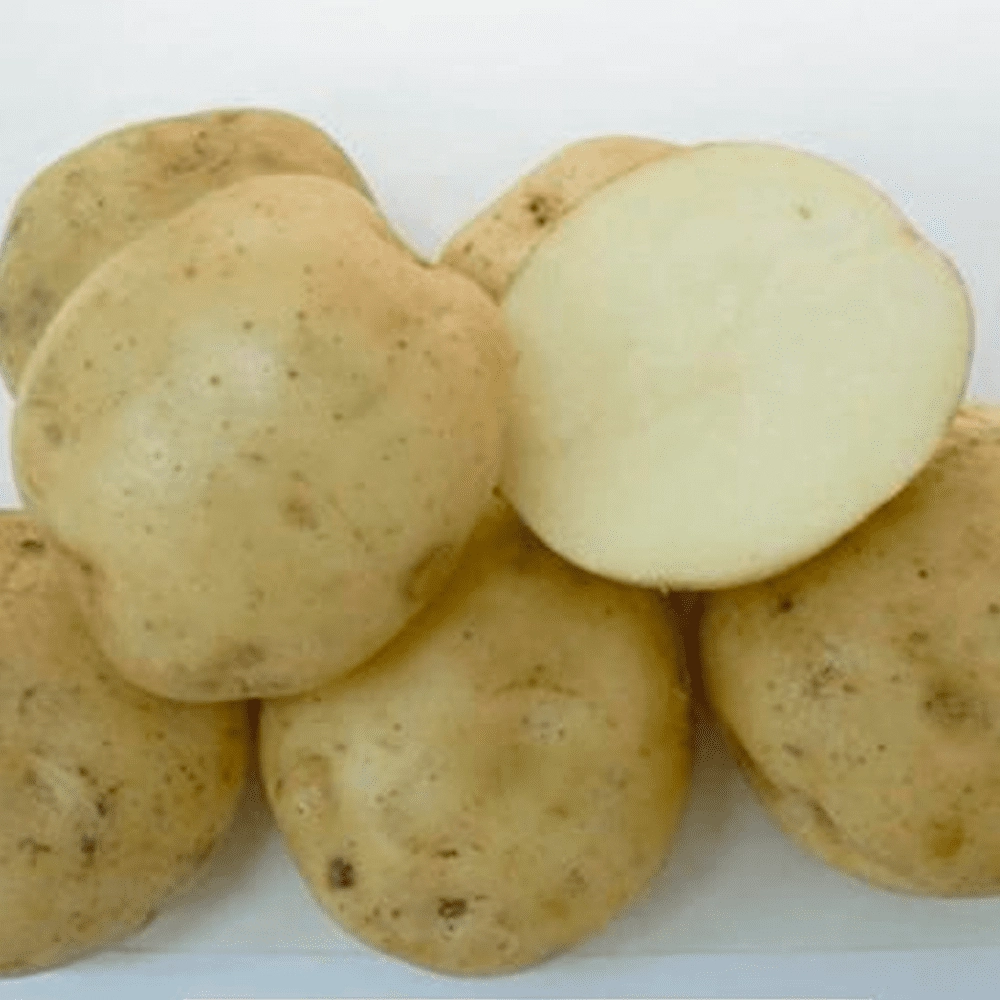 Картофель Былина Сибири 1 репродукция 2кг (Россия)