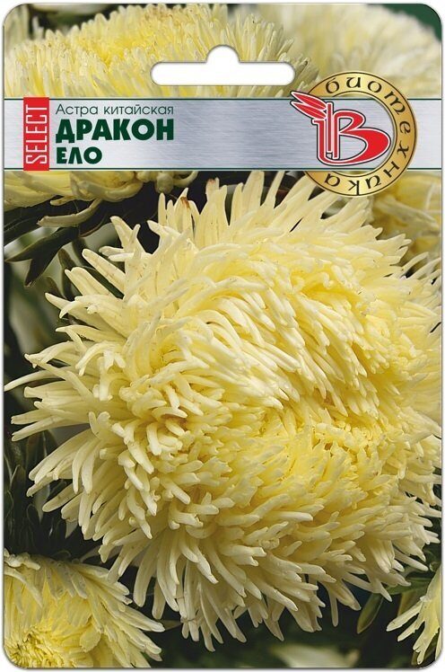 Астра ДРАКОН Селект Ело однолетник 30шт (Биотехника)