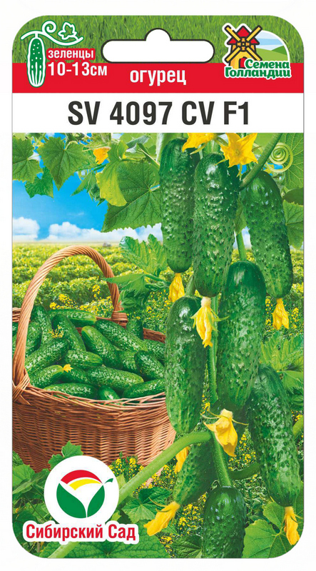 Огурец SV4097CV F1 5шт (Сиб Сад)